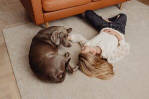 golden retriever sitting calmly near a home HVAC return vent in a clean living room