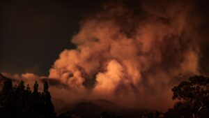 Wildfire smoke plume rising into a cloudy, humid sky over a forest